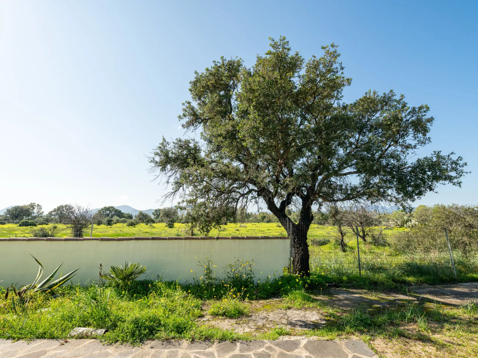 Sa Frontera-Buiten