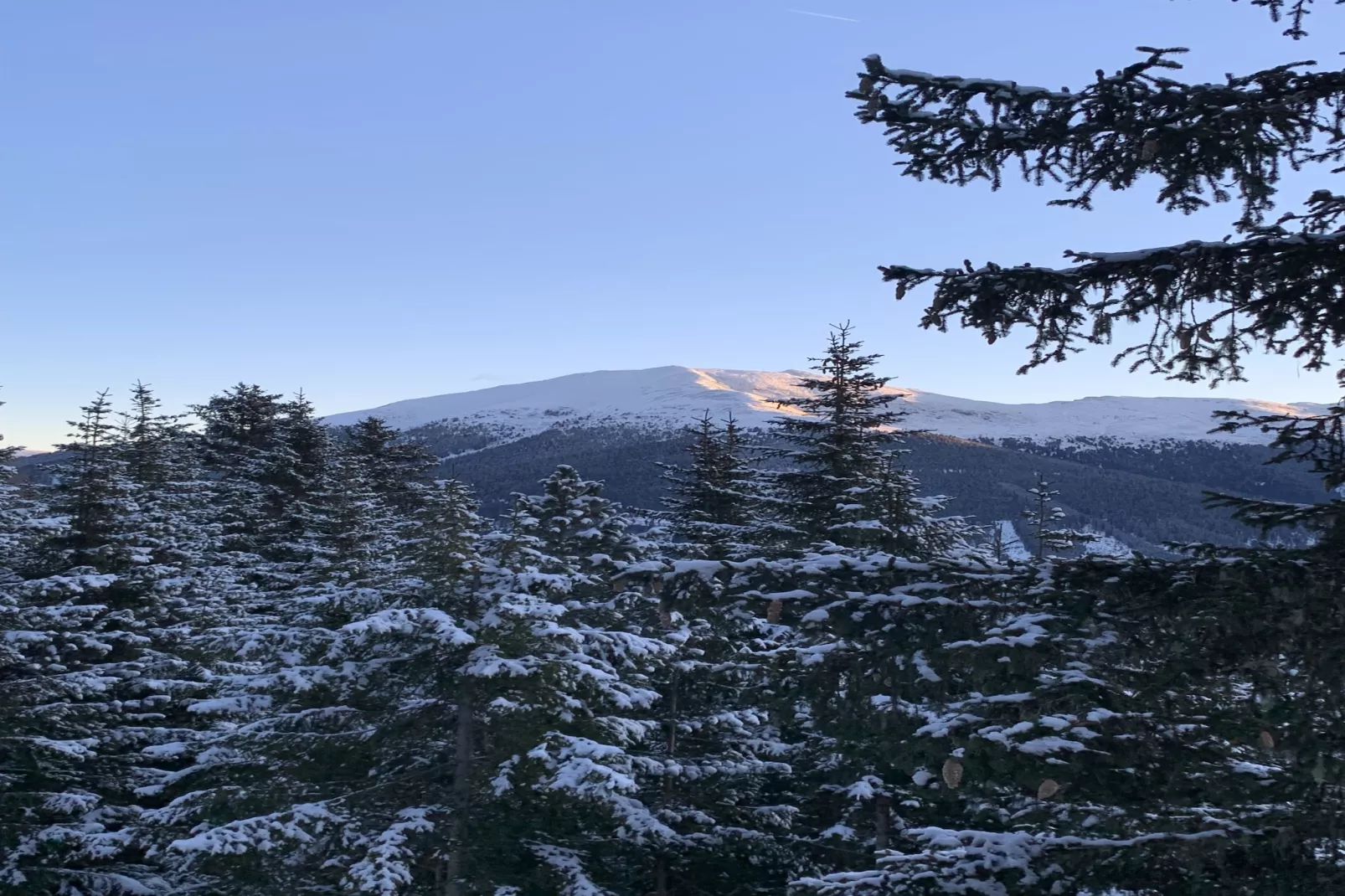 Naturchalets Turracher Höhe 25-Buitenlucht