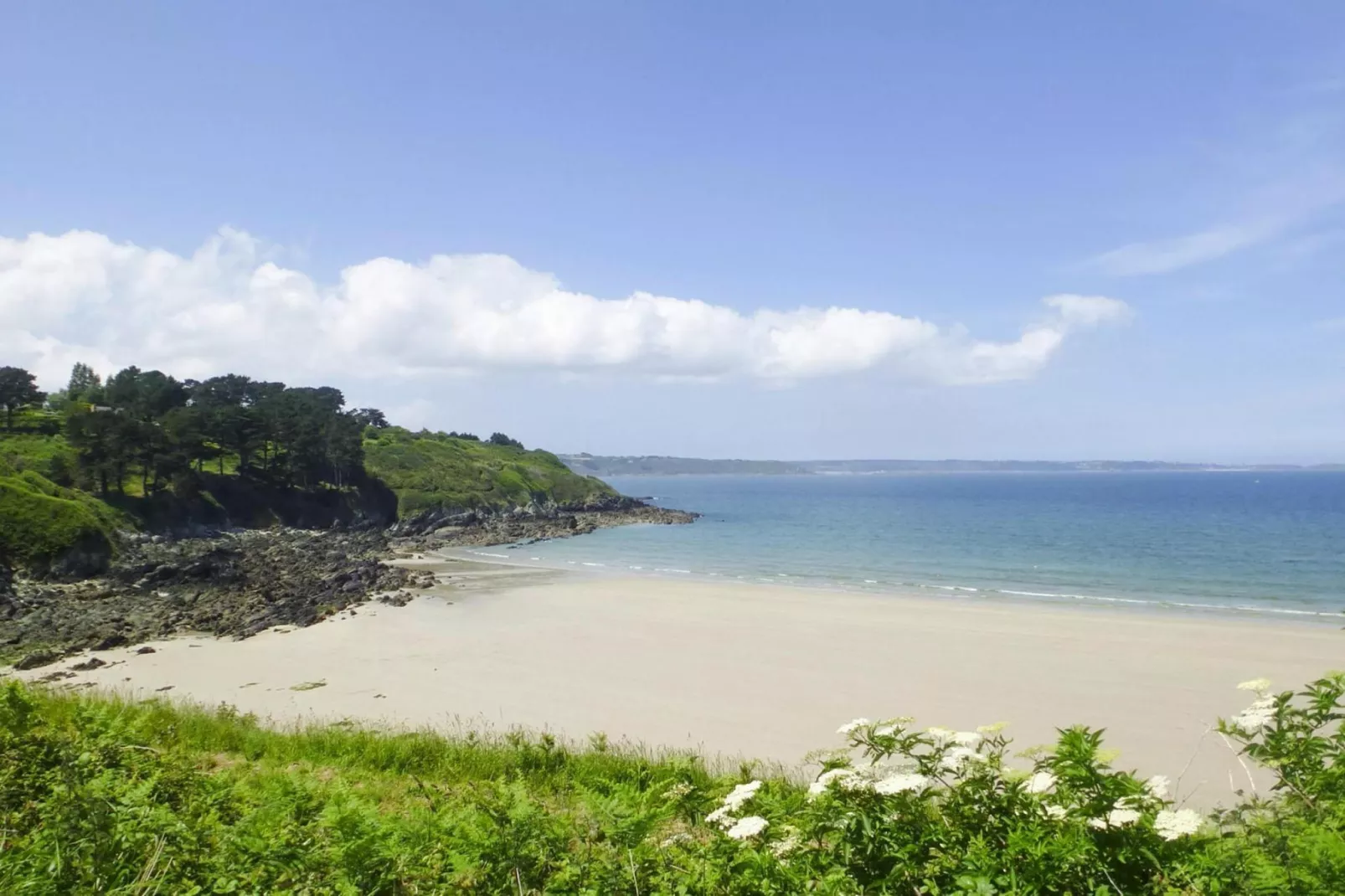 Maison de vacances Ploumilliau-Gebieden zomer 1km