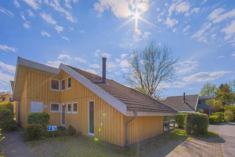 FH Wildgans Comfort Nr 138-Buitenkant zomer