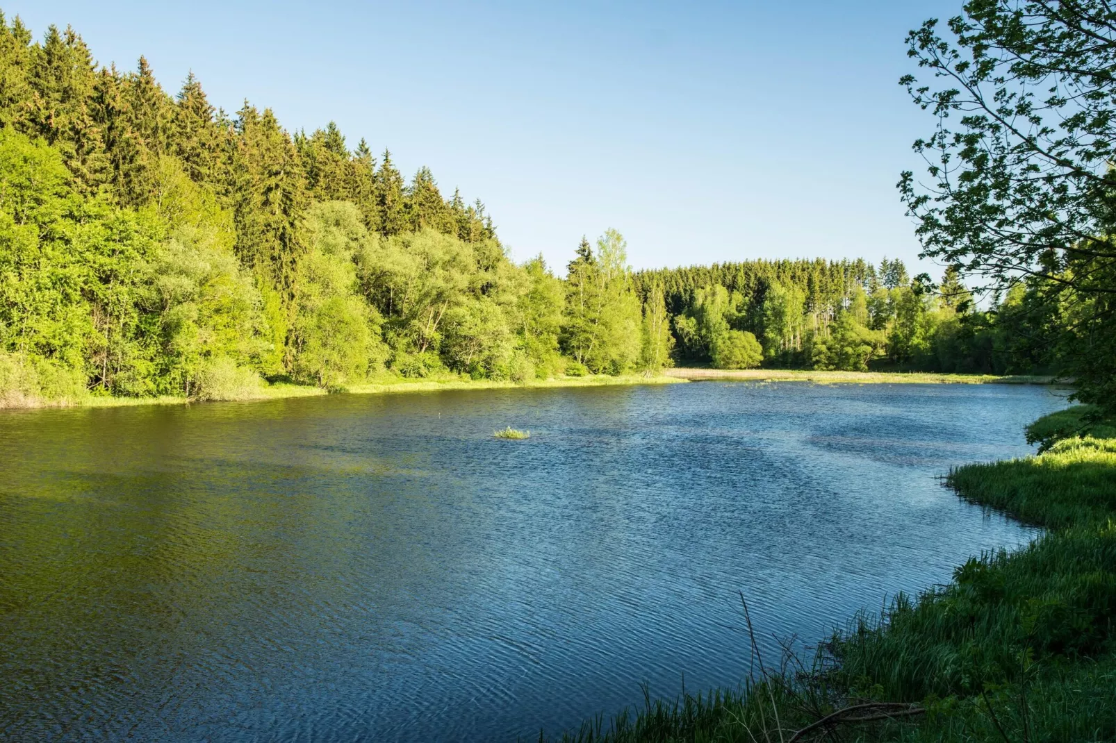 Ferienhaus in Hasselfelde - Haus 2 Blauvogel-Gebieden zomer 5km