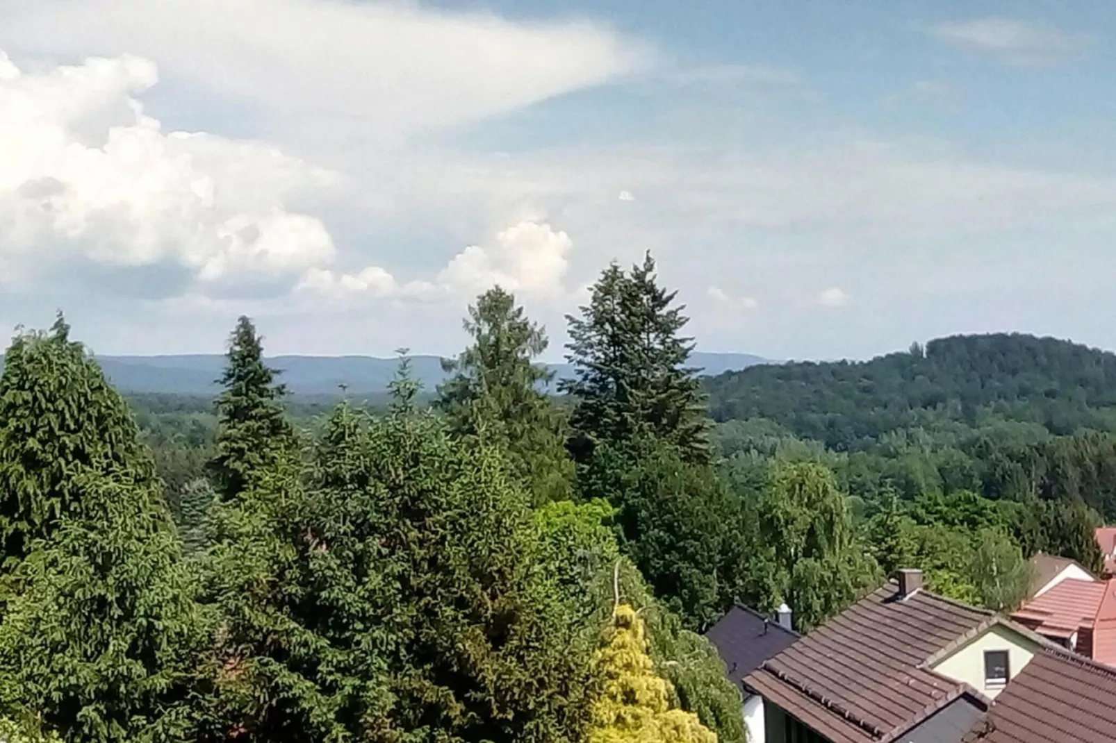 Jagdschlösschen Whg 19-Uitzicht zomer