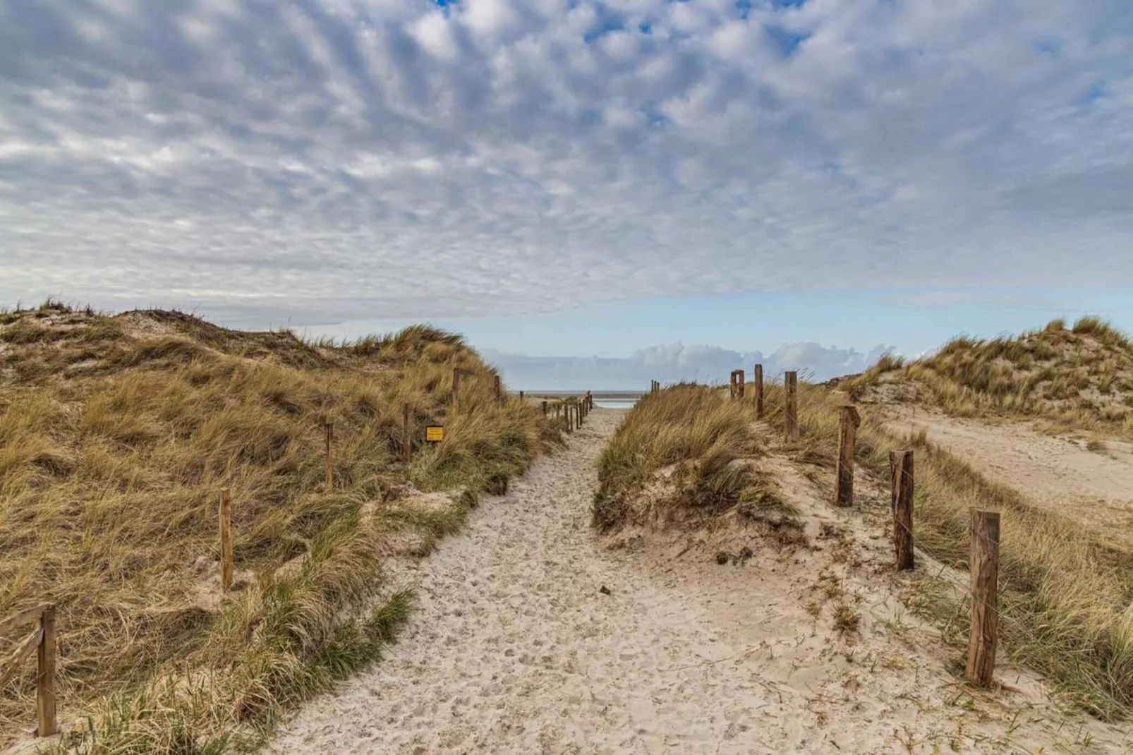 Ferienwohnung Springfloot 2 St Peter-Ording-Gebieden zomer 1km