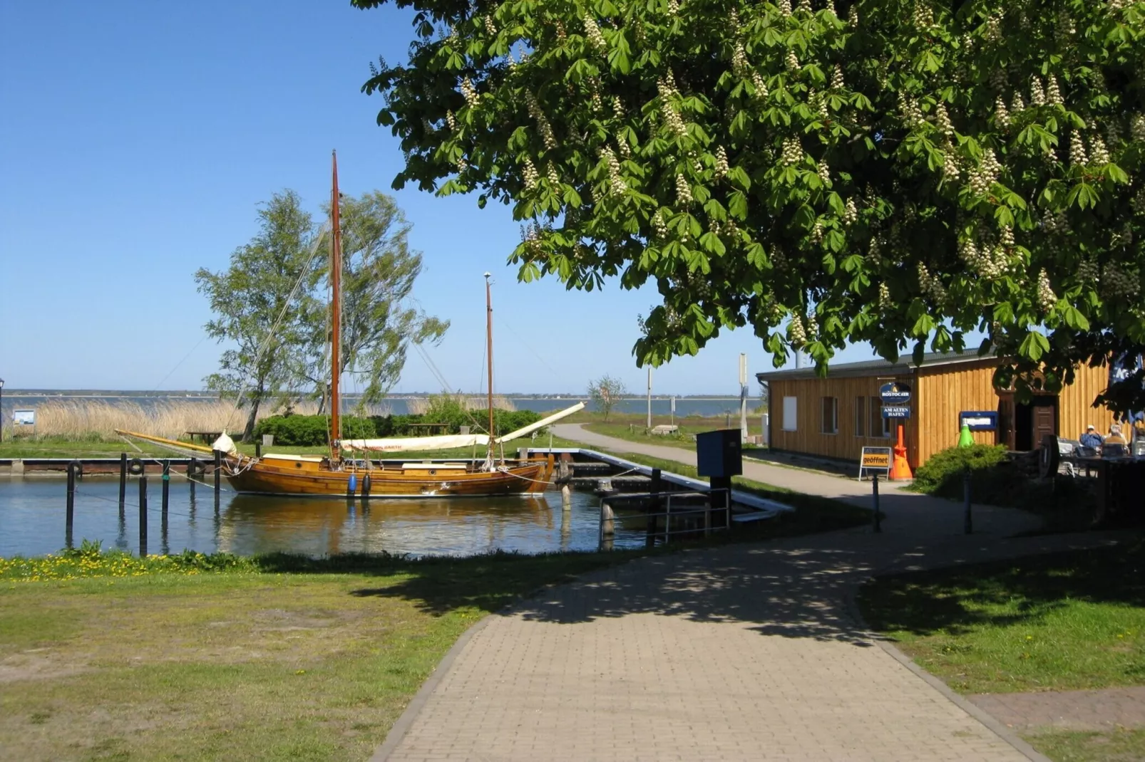 Schilfrohrsänger 39-Gebieden zomer 1km