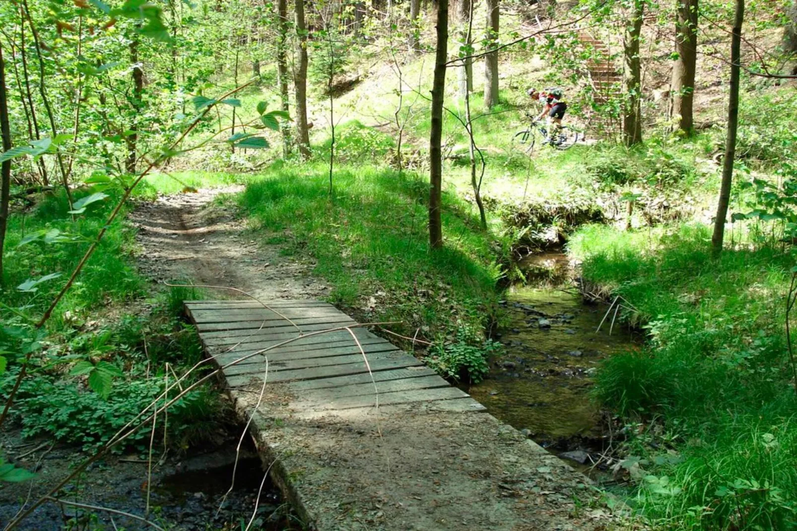 Ferienhaus Wiek-Gebieden zomer 5km