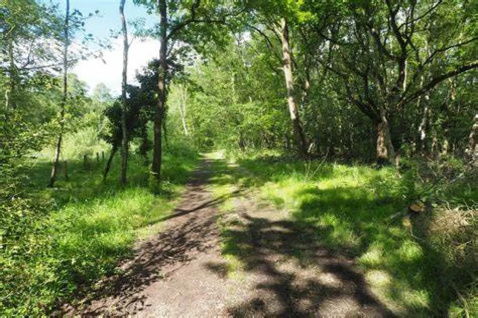 Ferienhaus Wiek-Gebieden zomer 5km