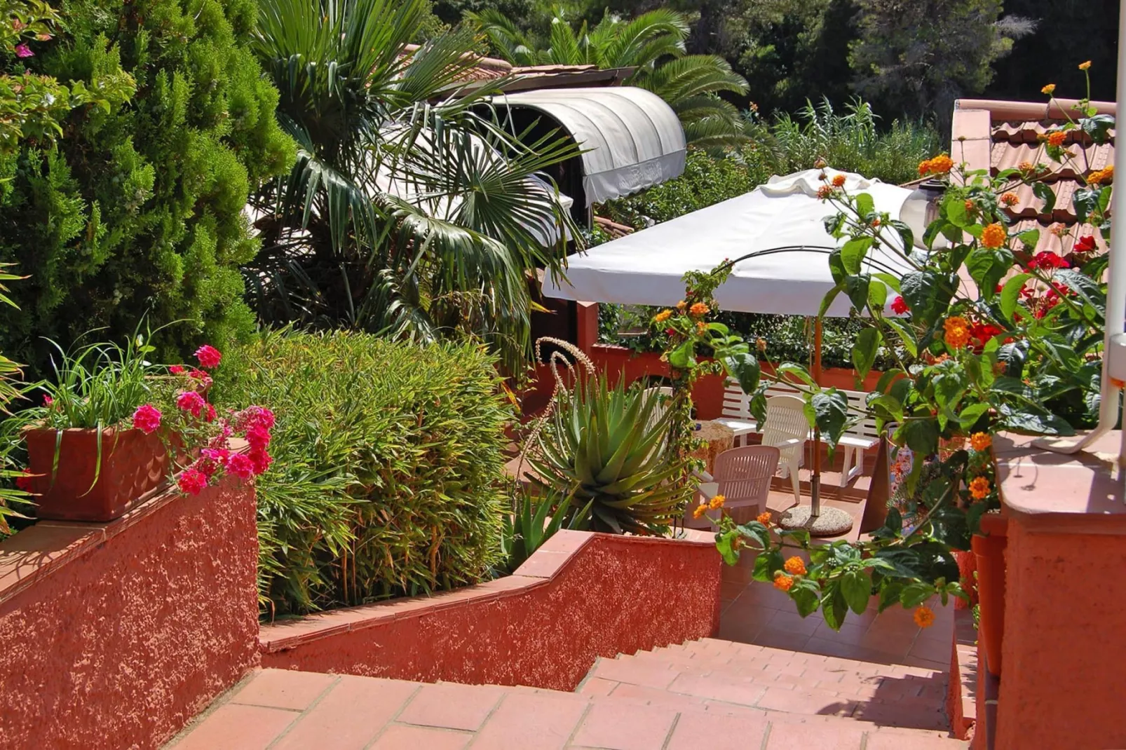 Apartments Villa Franca, Capoliveri-Trilo 4- piano terra o primo piano-Tuinen zomer