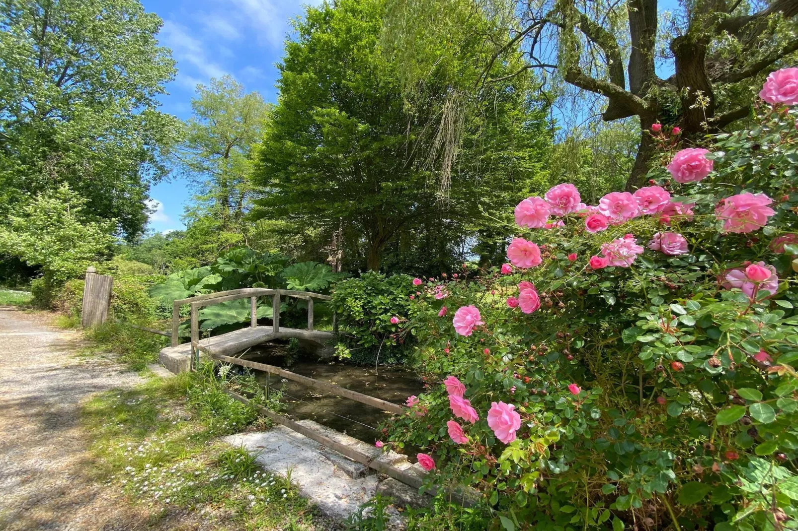 Semi-detached house St Sauveur-le-Vicomte--Tuinen zomer