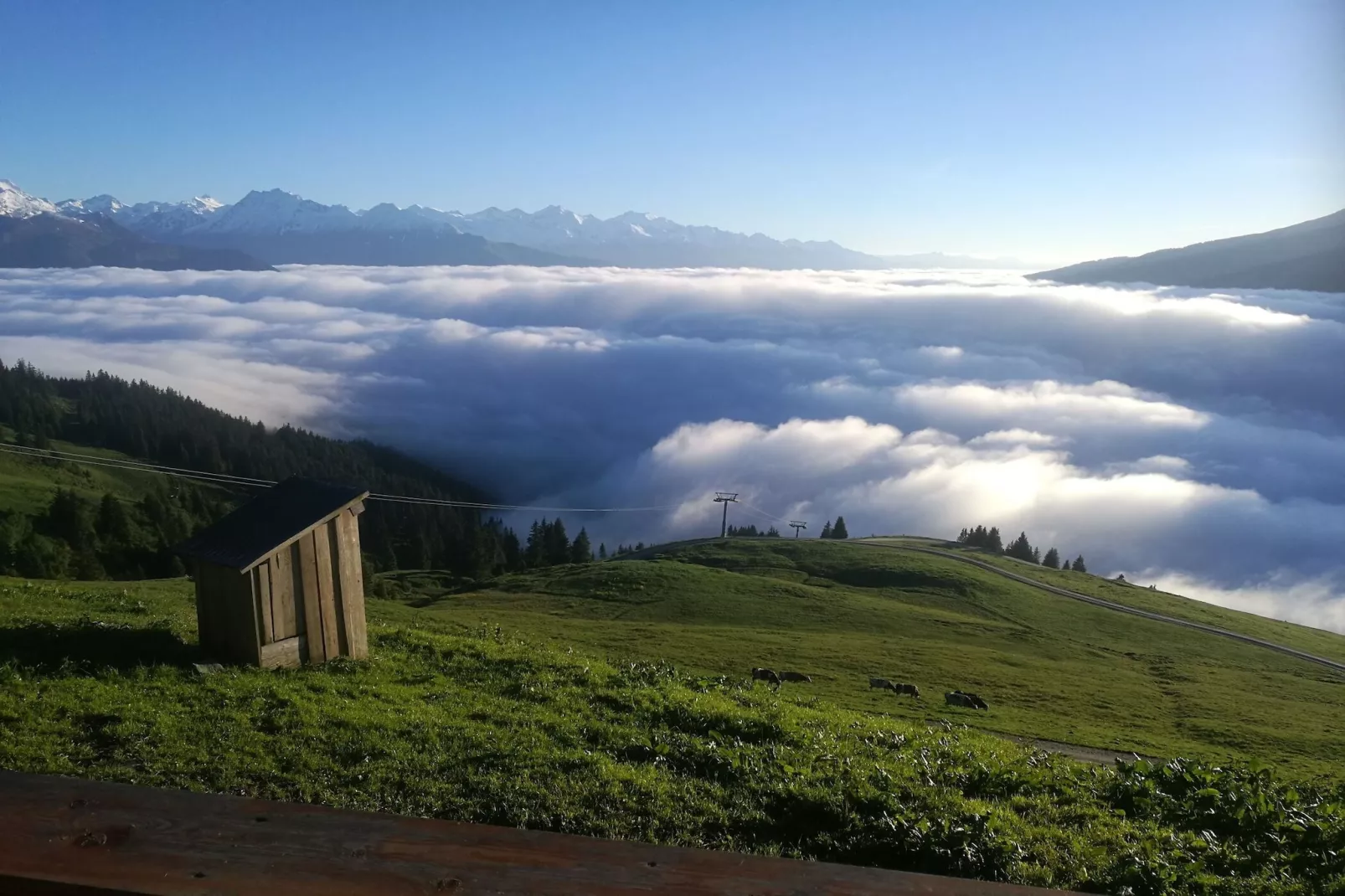 Almhütte Gipfelblick-Uitzicht zomer