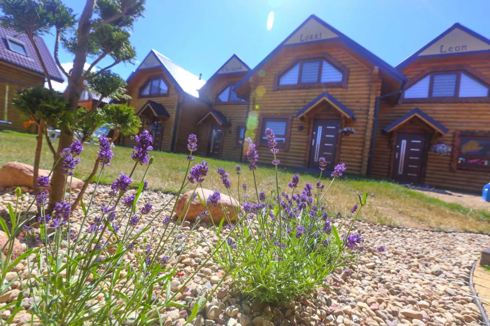 Holiday complex with holiday homes Rewal-Uitzicht zomer