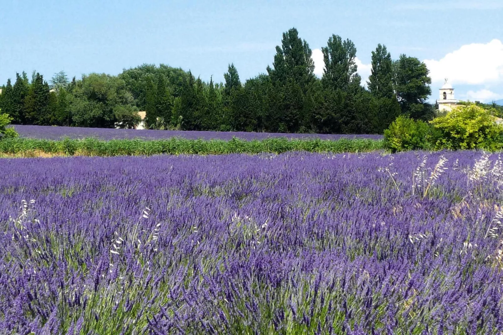 Doppelhaushälfte in Redortiers-Tuinen zomer