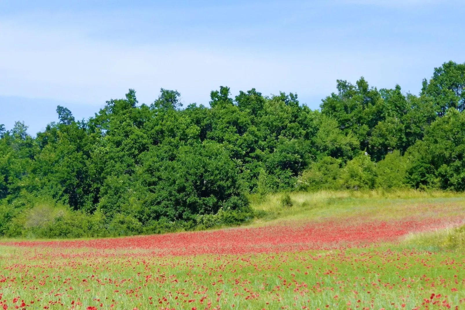 Doppelhaushälfte in Redortiers-Uitzicht zomer