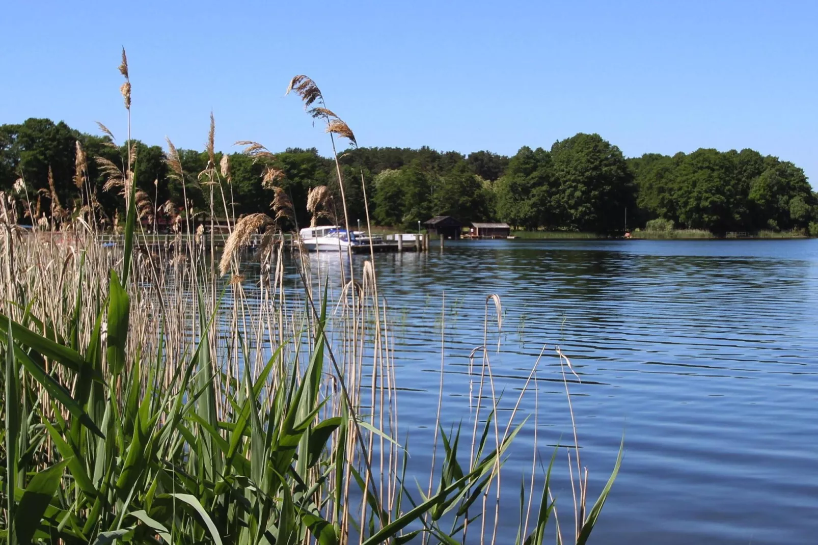 Bungalow 4 Rheinsberg-Gebieden zomer 1km