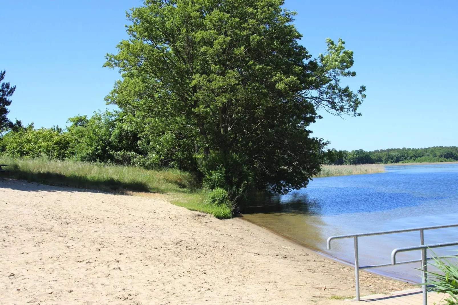 Bungalow 4 Rheinsberg-Gebieden zomer 1km