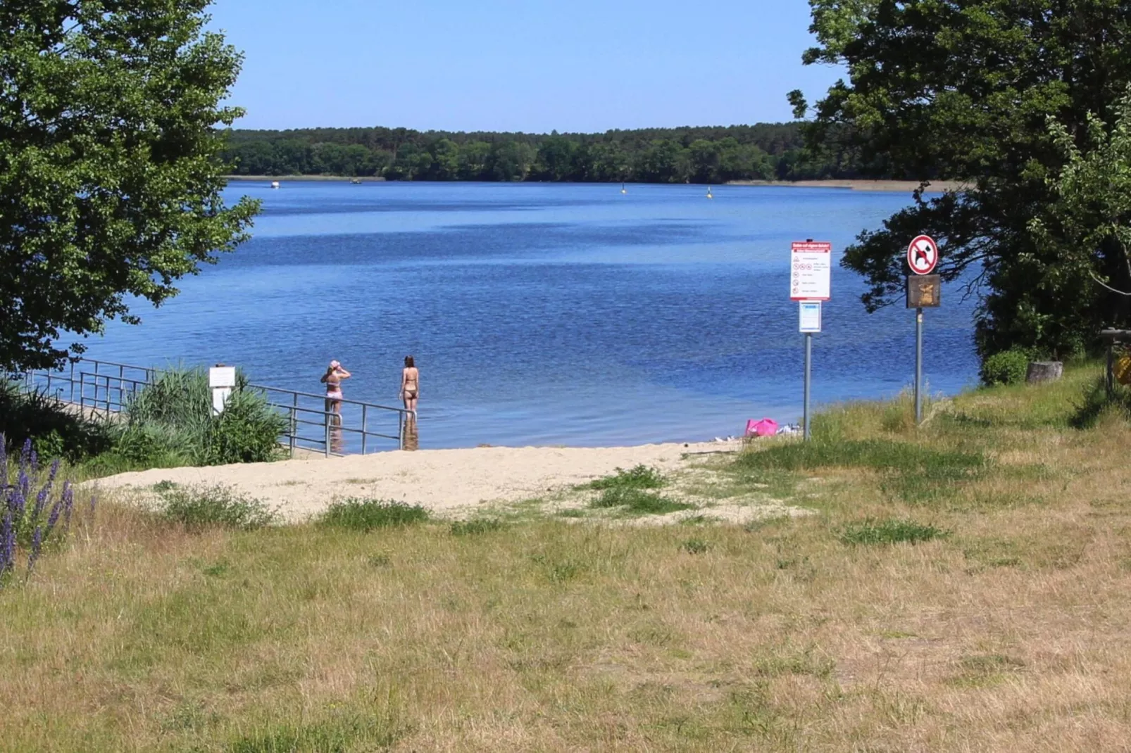 Bungalow 4 Rheinsberg-Gebieden zomer 1km
