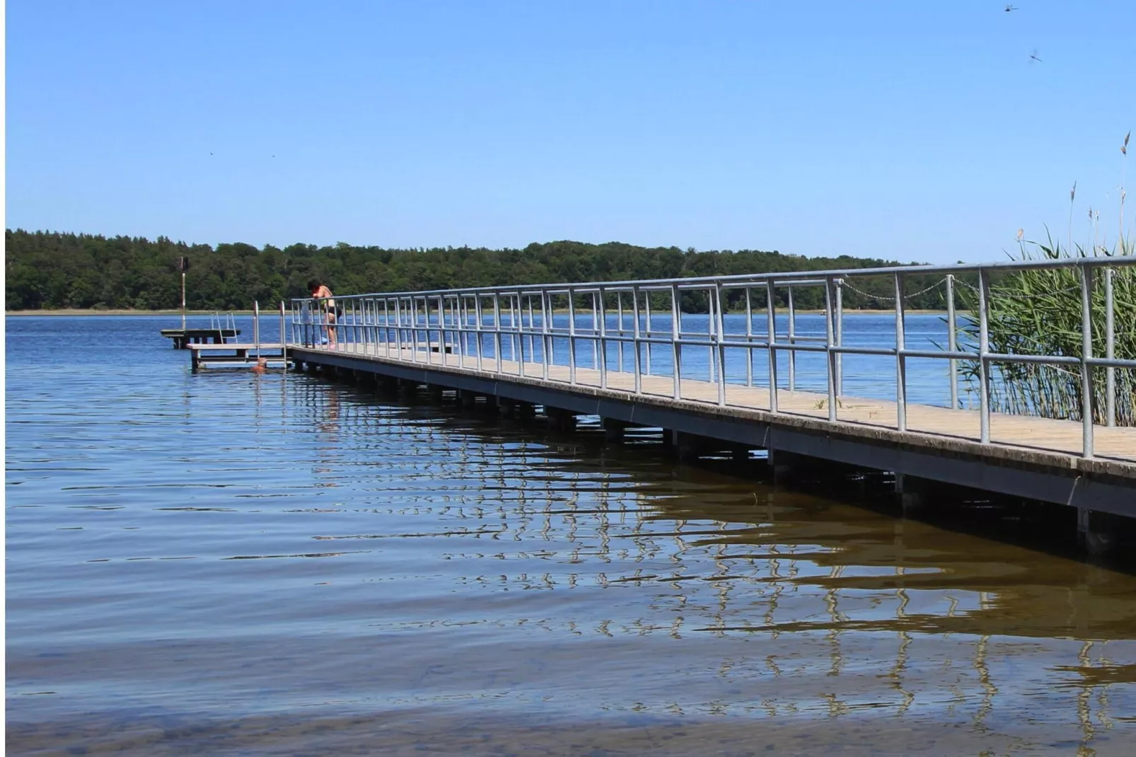 Bungalow 4 Rheinsberg-Gebieden zomer 1km