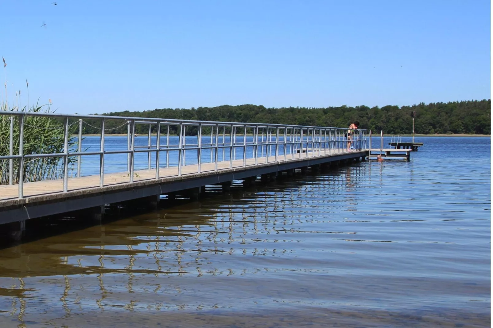 Bungalow 4 Rheinsberg-Gebieden zomer 1km