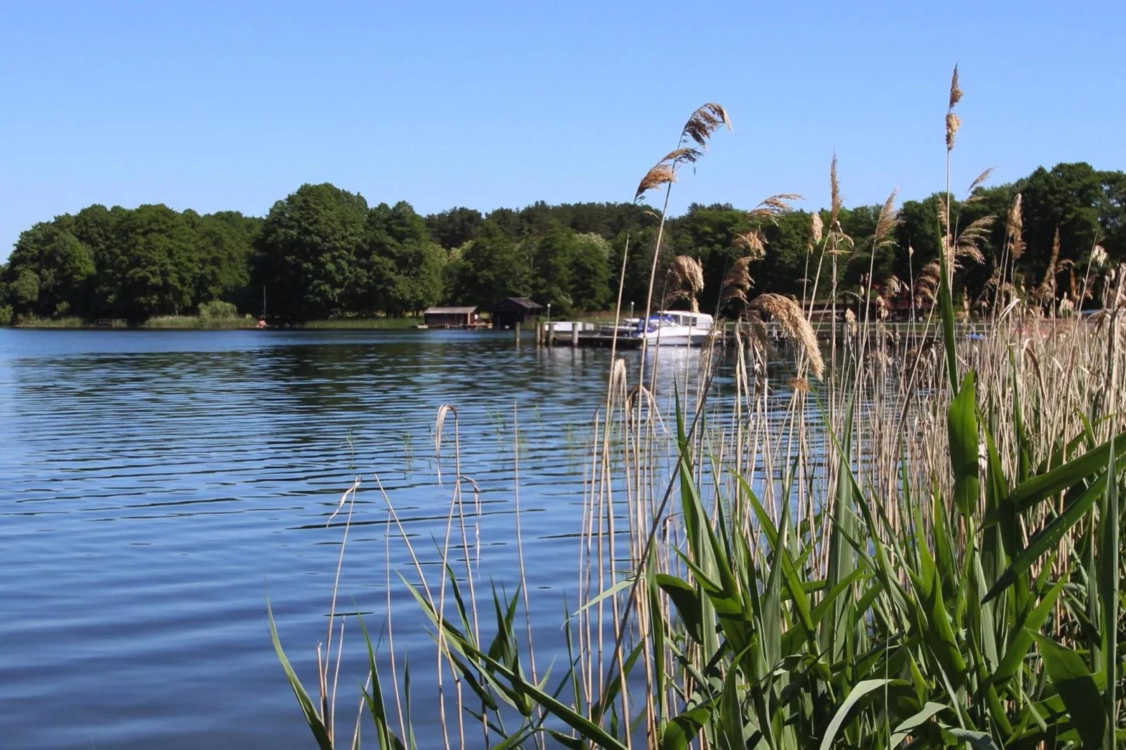 Bungalow 4 Rheinsberg-Gebieden zomer 1km