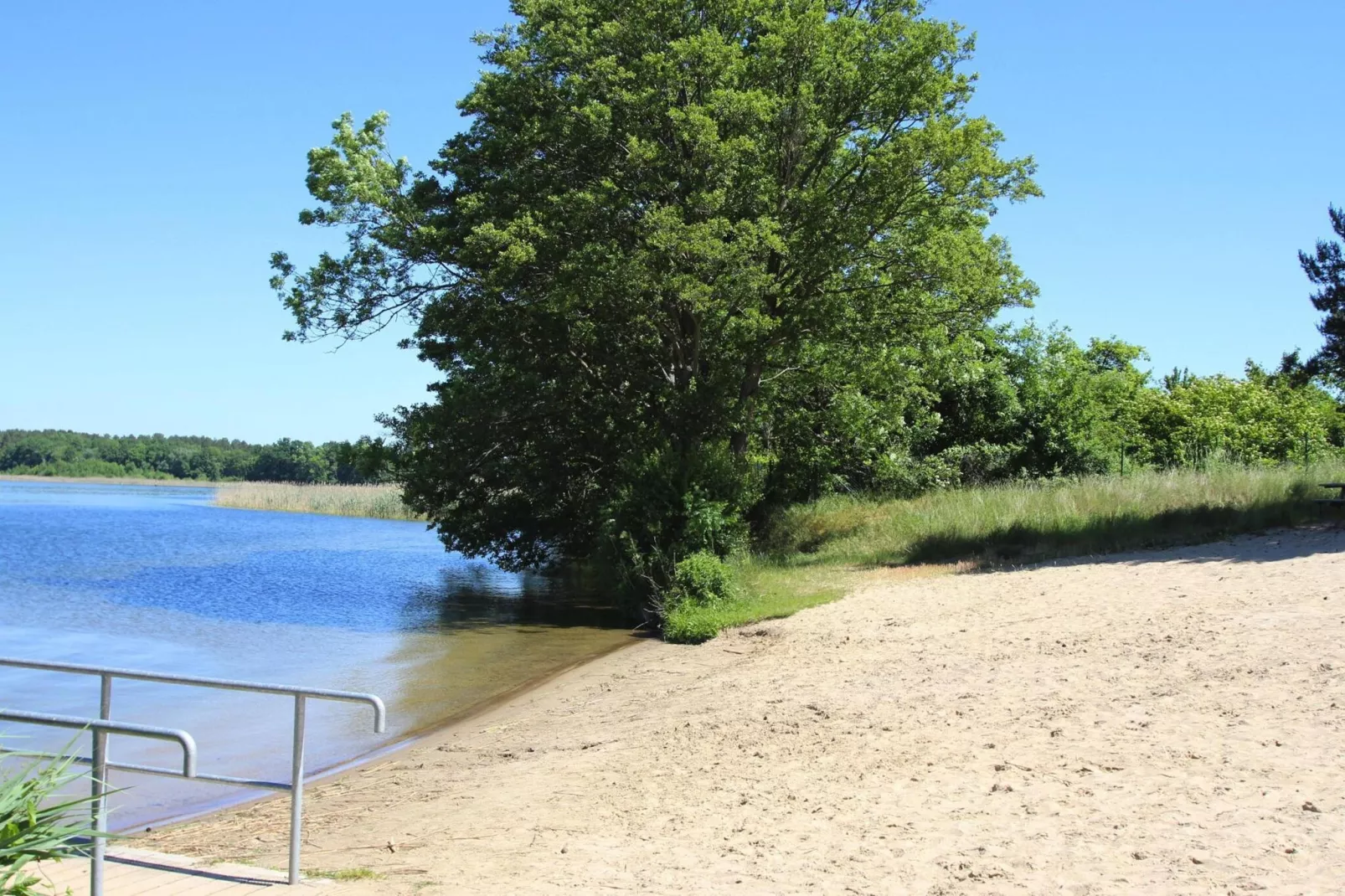 Bungalow 4 Rheinsberg-Gebieden zomer 1km