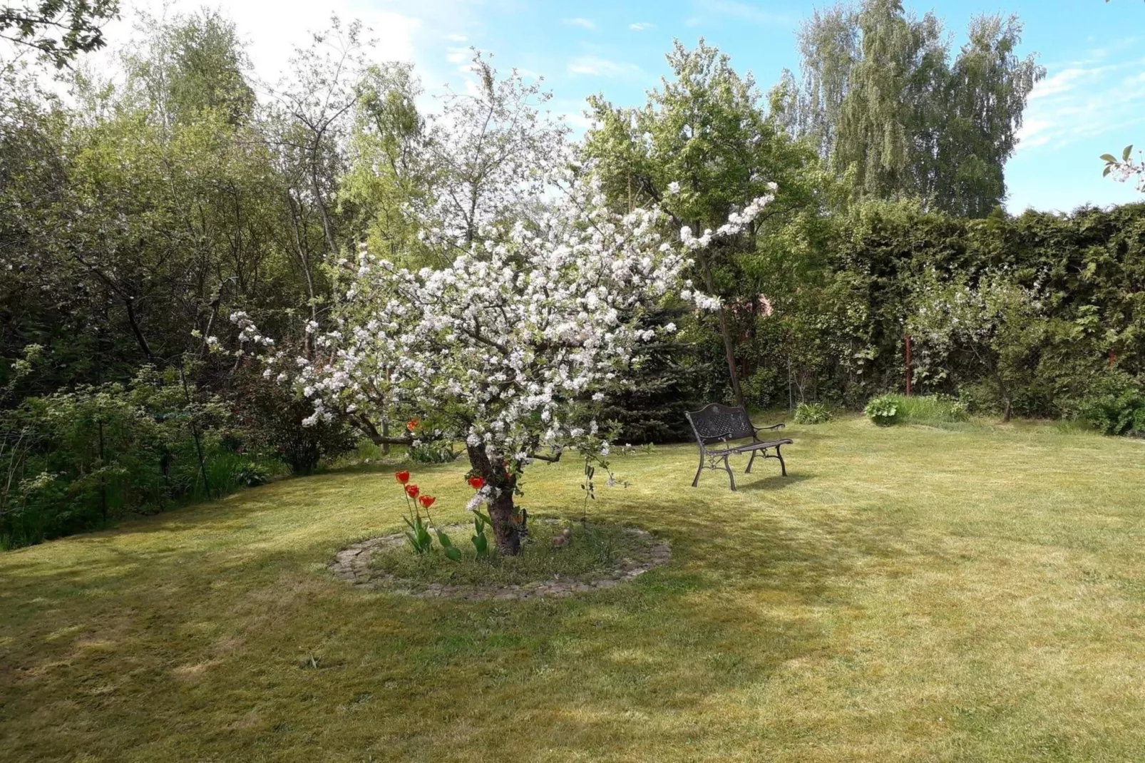 Fewo 12-Tuinen zomer