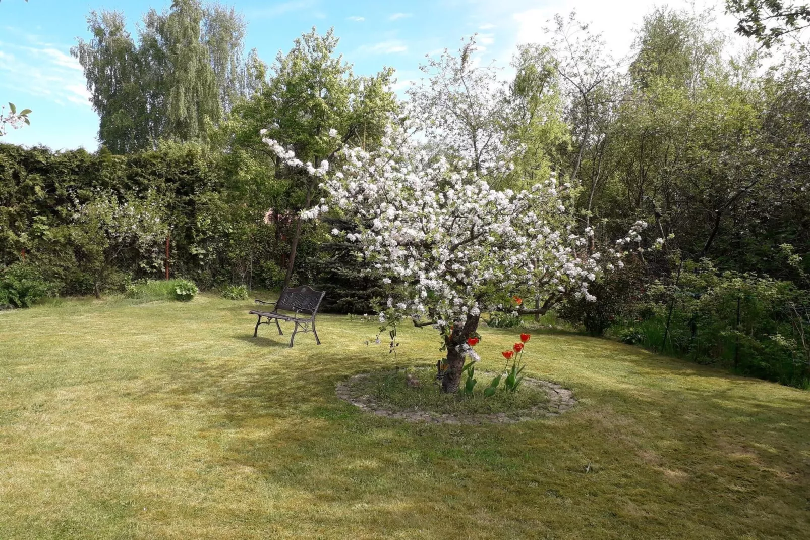 Fewo 12-Tuin winter