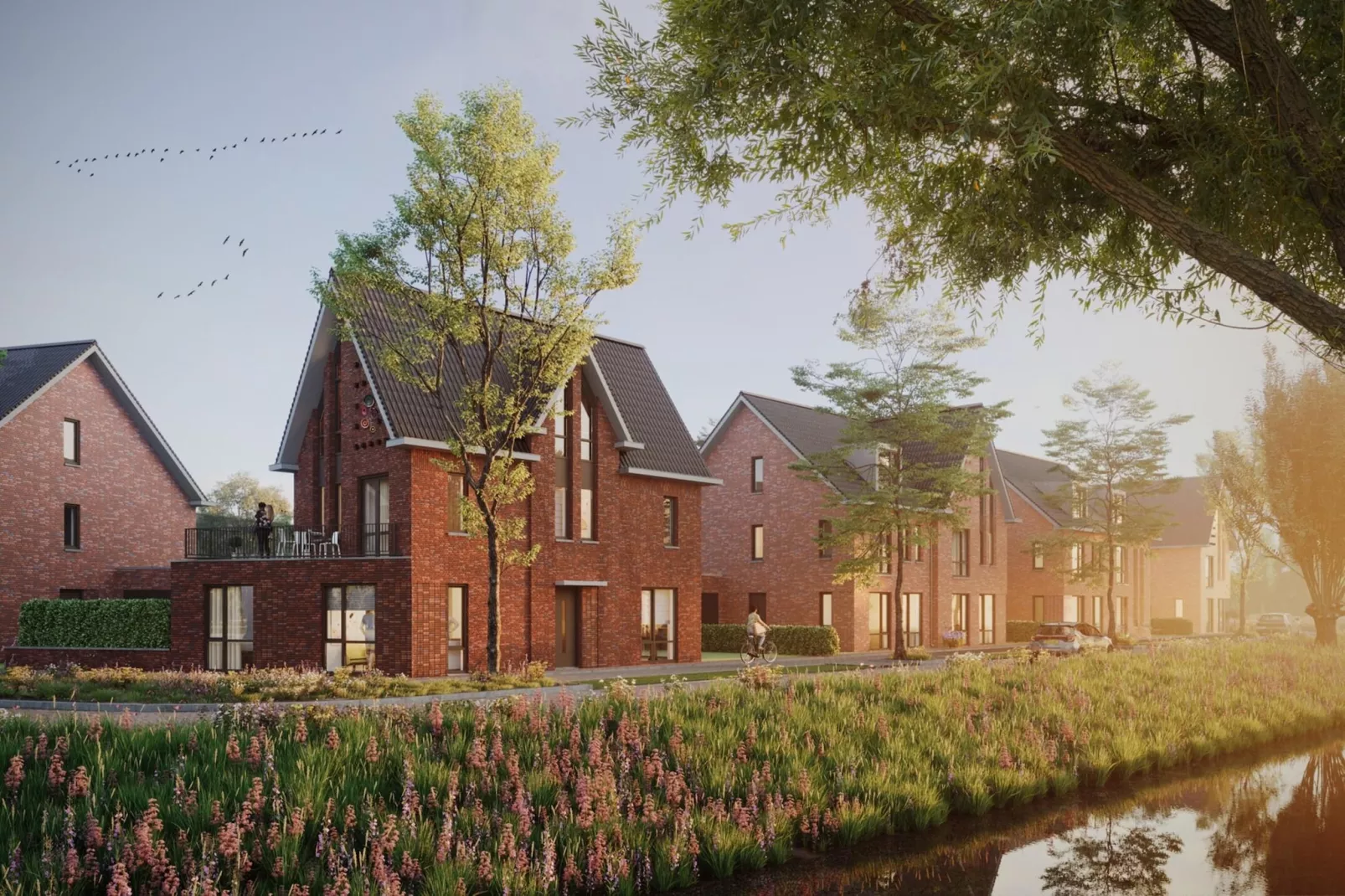 Park Veerse Kreek 5-Gebieden zomer 5km