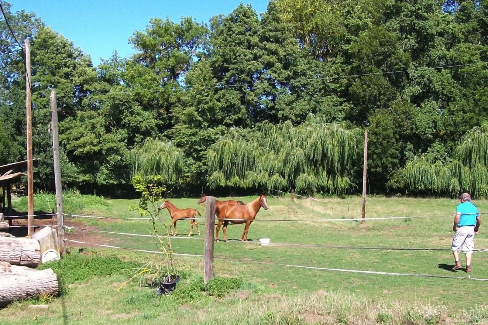 Ferienwohnung in Retournac
