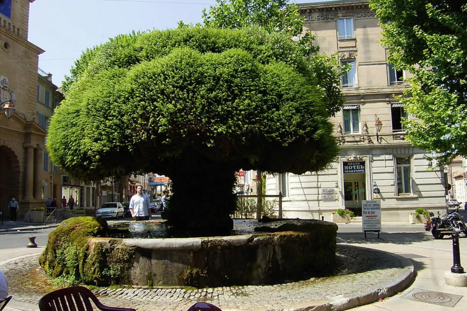 Ferienhaus in Salon-de-Provence-Tuinen zomer