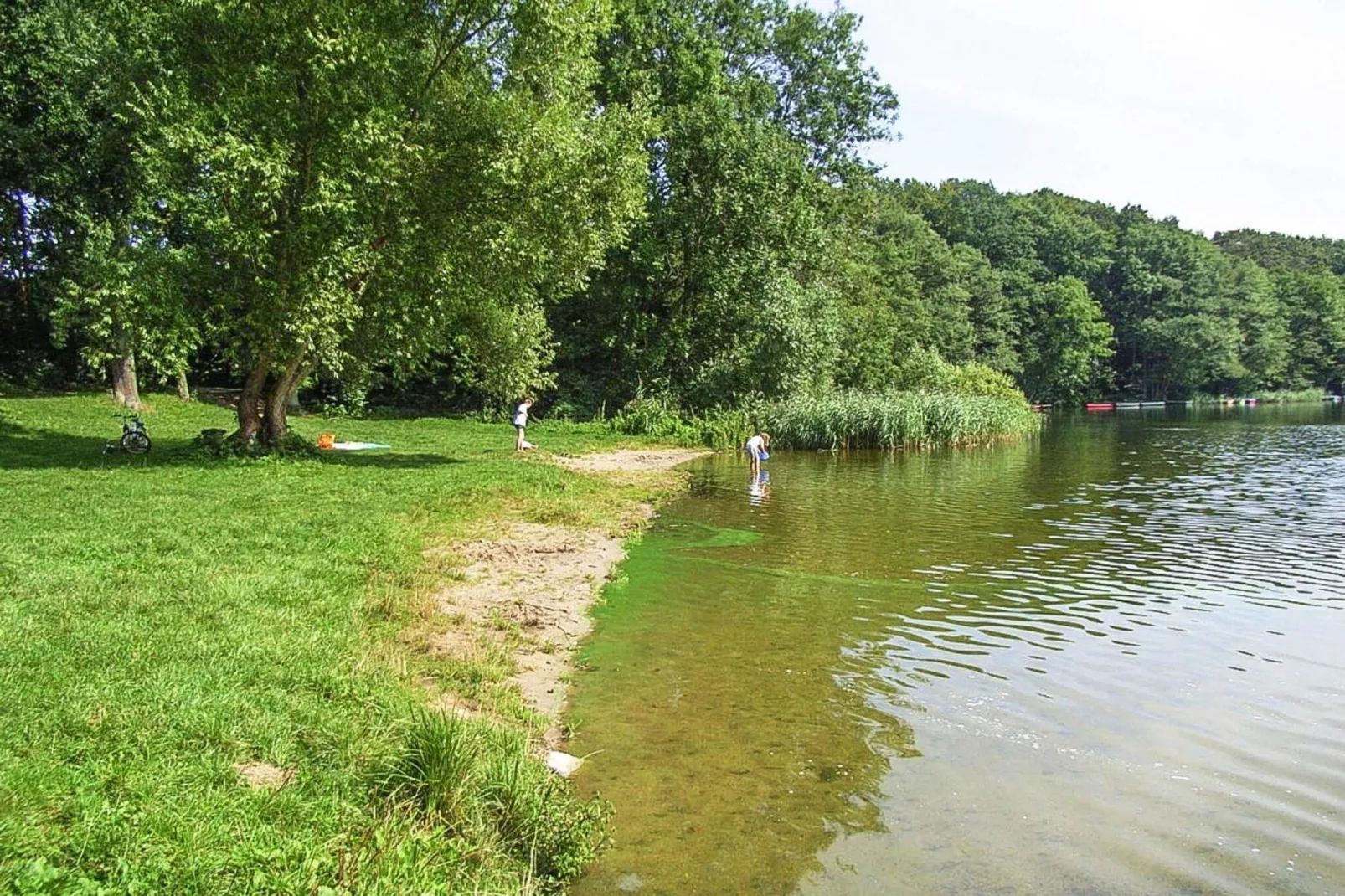 Ferienhaus 55 qm-Gebieden zomer 5km