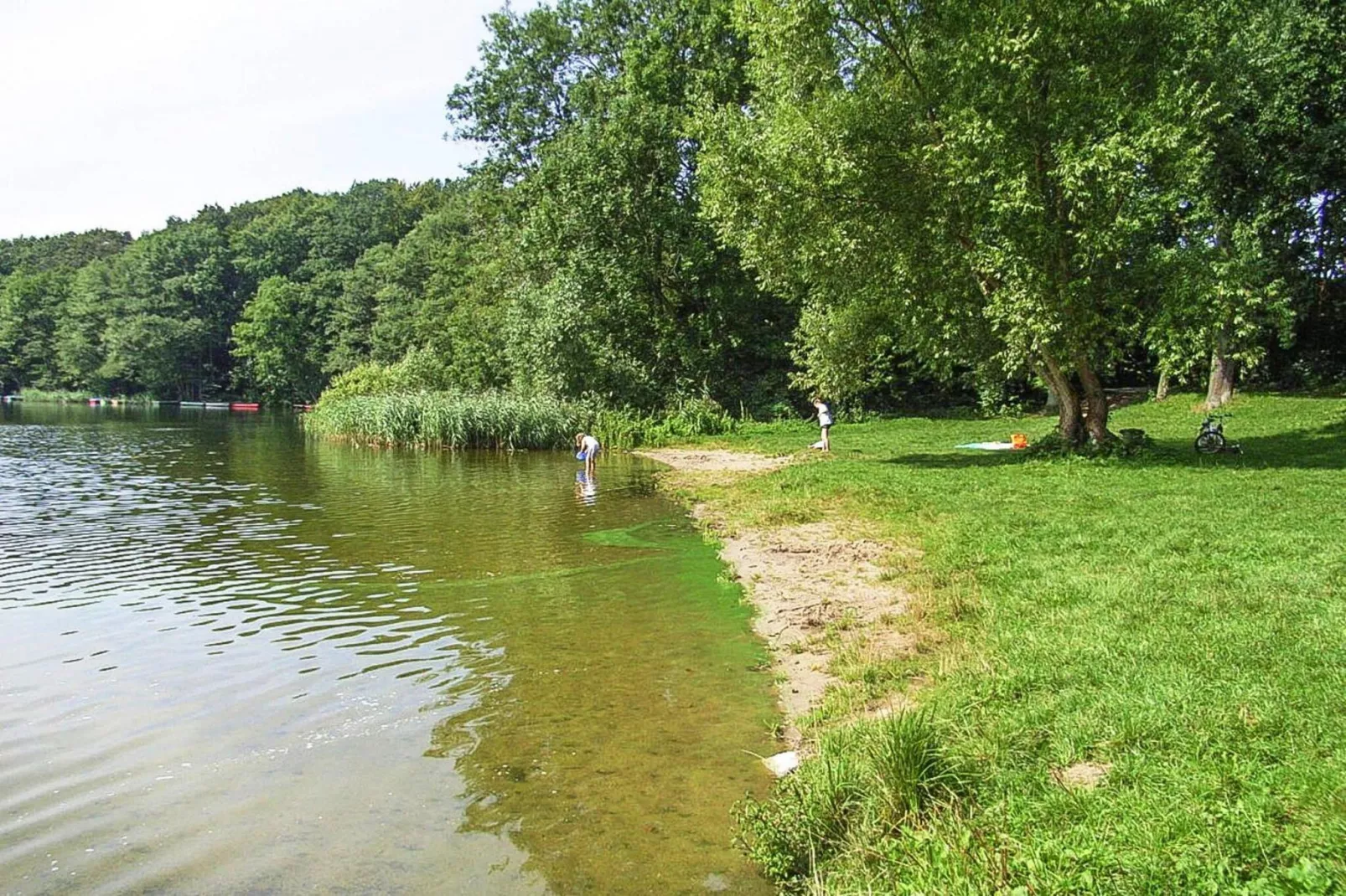 Ferienhaus 55 qm-Gebieden zomer 5km