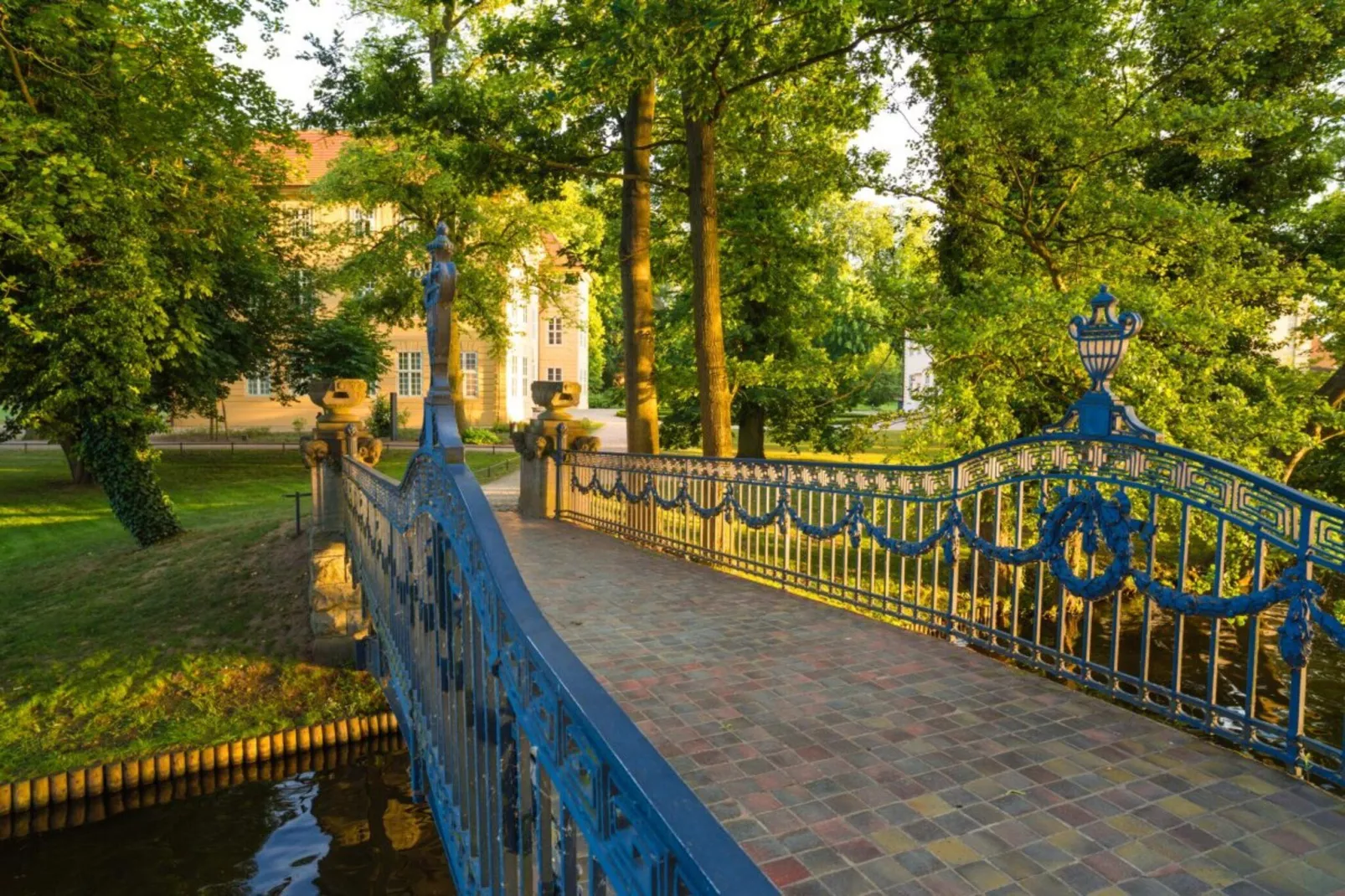 Ferienhaus Gänseblümchen-Gebieden zomer 1km
