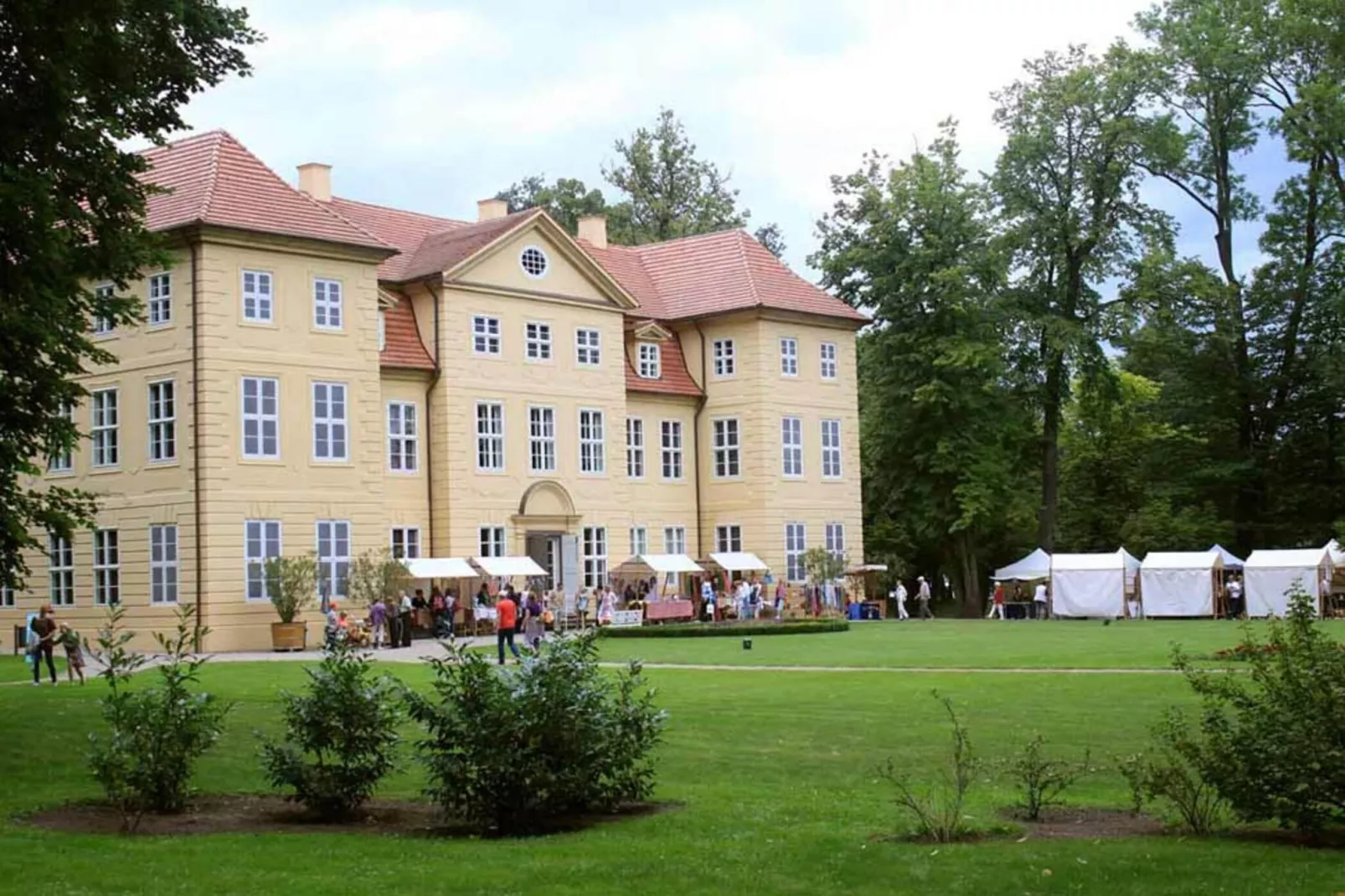Ferienhaus Gänseblümchen-Gebieden zomer 1km