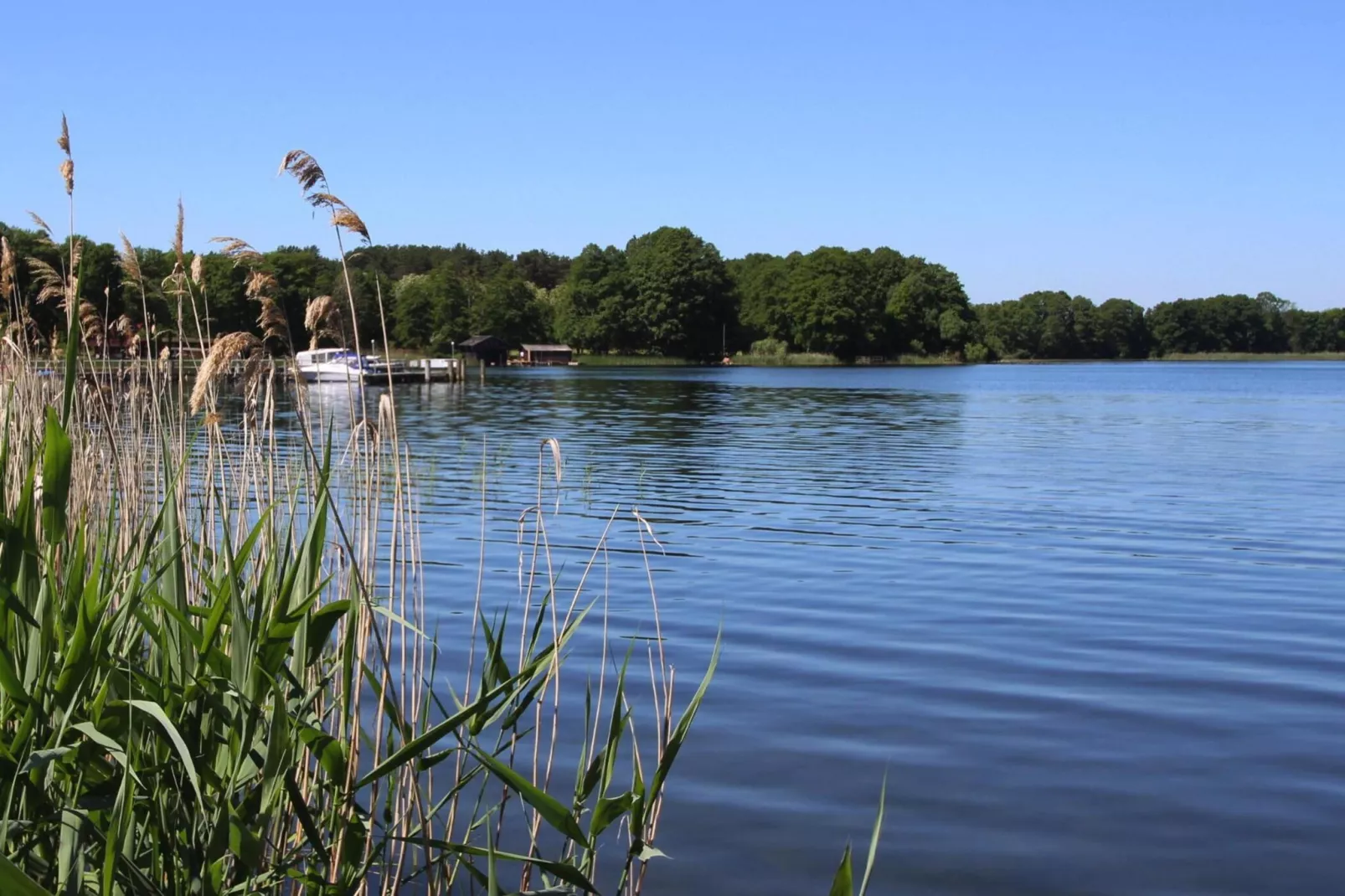 Bungalow 5  Malchow-Gebieden zomer 1km