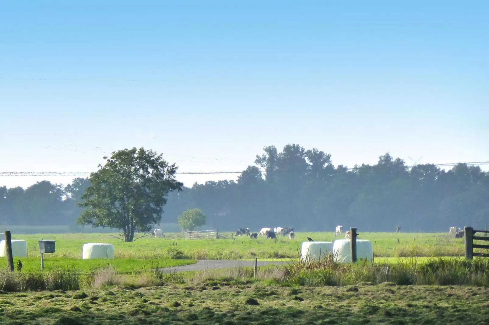 Ferienwohnung Dangast-Gebieden zomer 1km