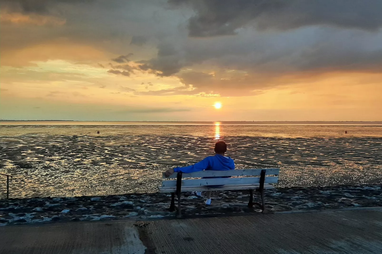 Ferienwohnung Dangast-Gebieden zomer 5km