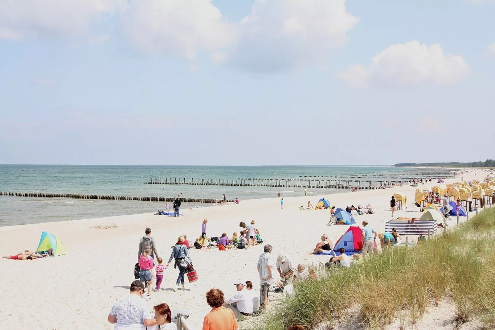 Ferienhaus in Boiensdorf 6 Personen-Gebieden zomer 1km