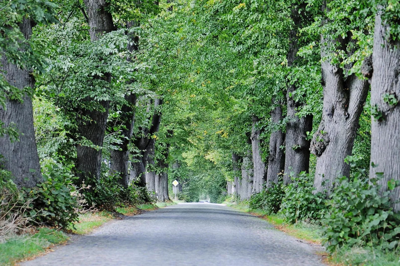 Gutshaus Zicker -Wohnung 9-Gebieden zomer 5km