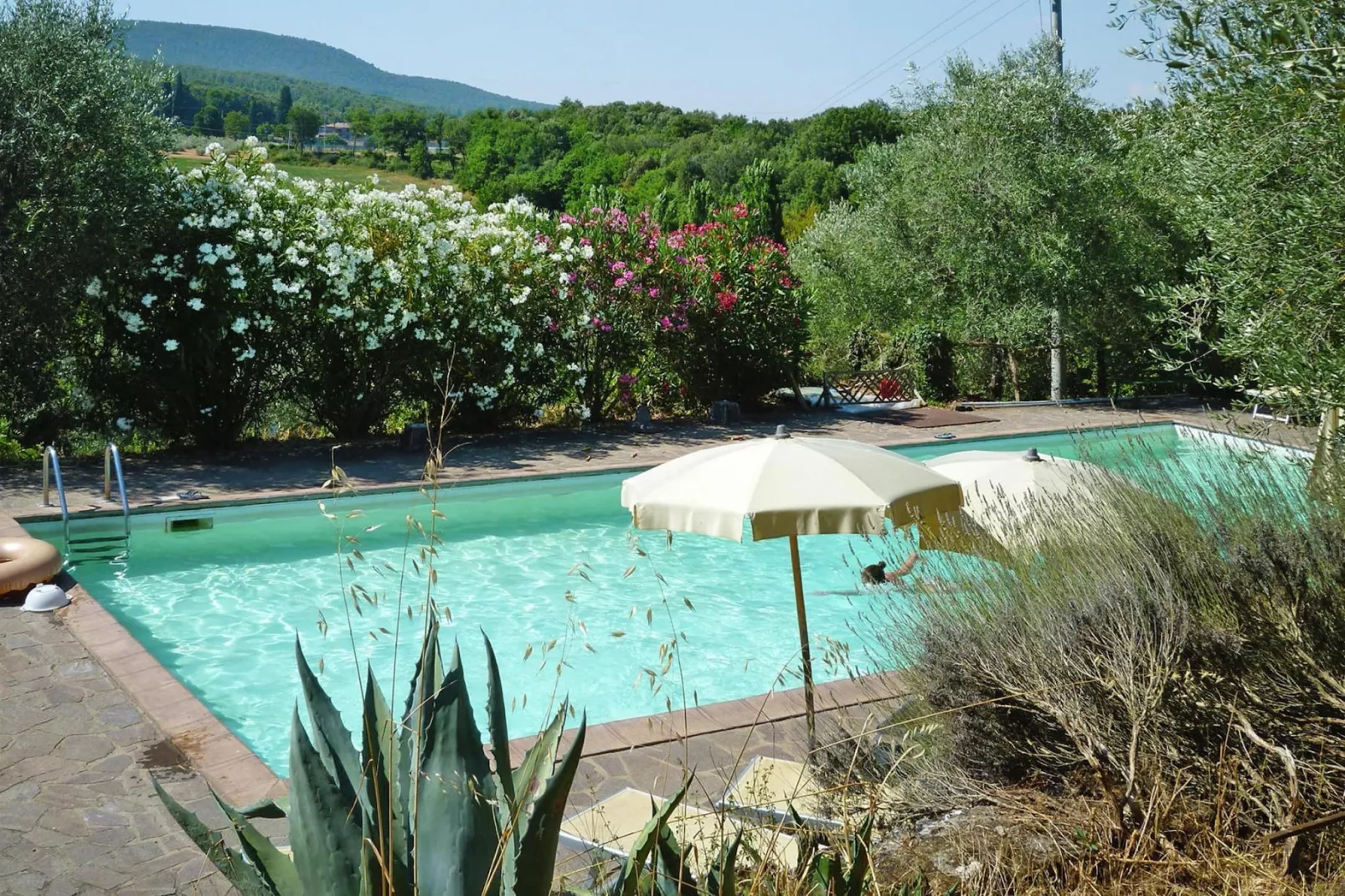 Residence Il Pero di Cetinale Sovicille Typ B 65 qm-Zwembad