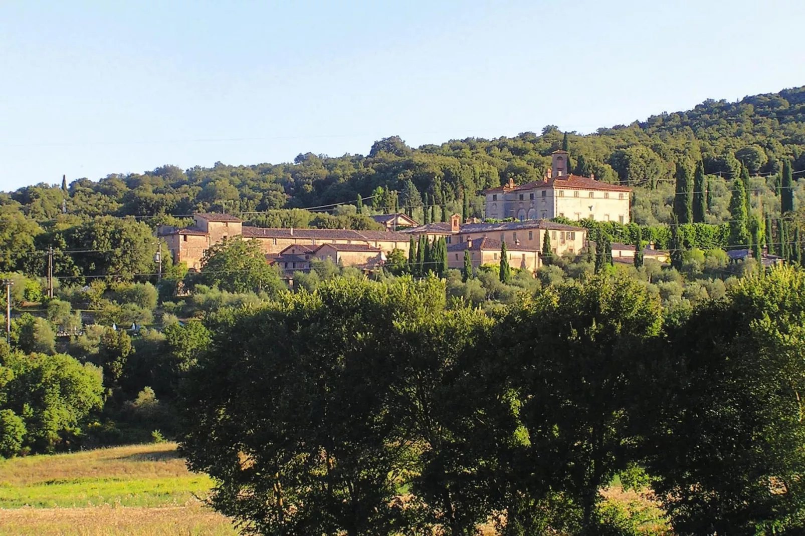 Residence Il Pero di Cetinale Sovicille Typ B 65 qm-Uitzicht zomer