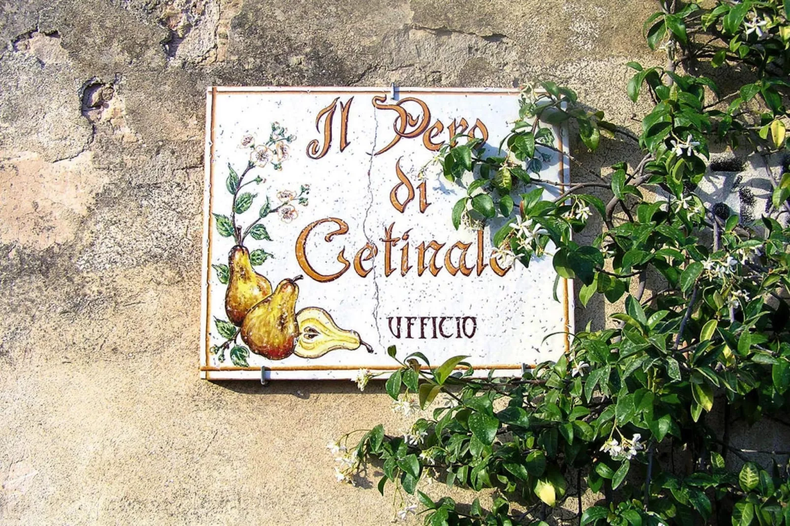 Residence Il Pero di Cetinale Sovicille Typ B 65 qm-Sfeer