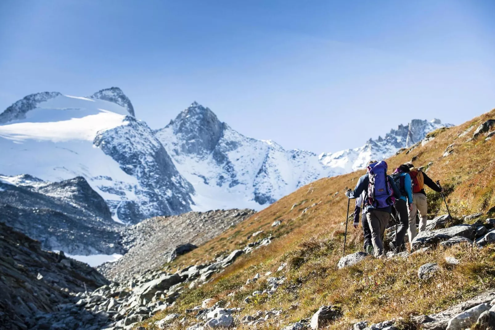 Edelweißanger-Gebieden zomer 1km