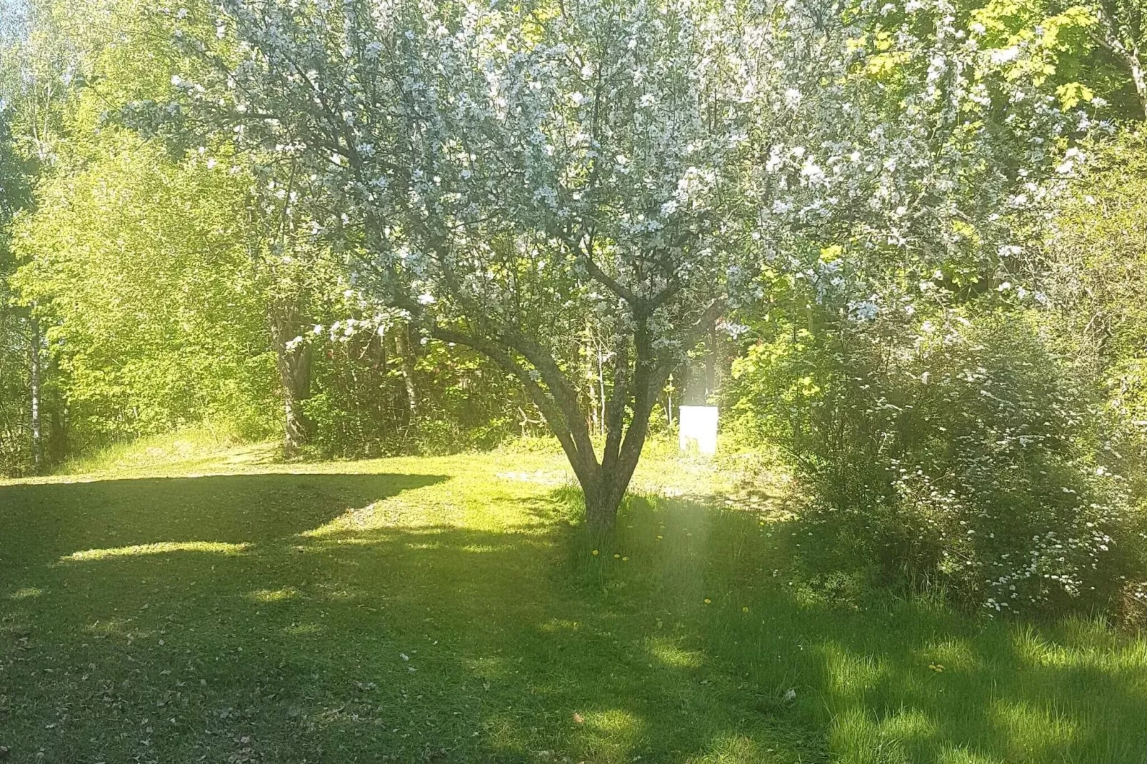 6 persoons vakantie huis in BENGTSFORS-By Traum-Buitenlucht