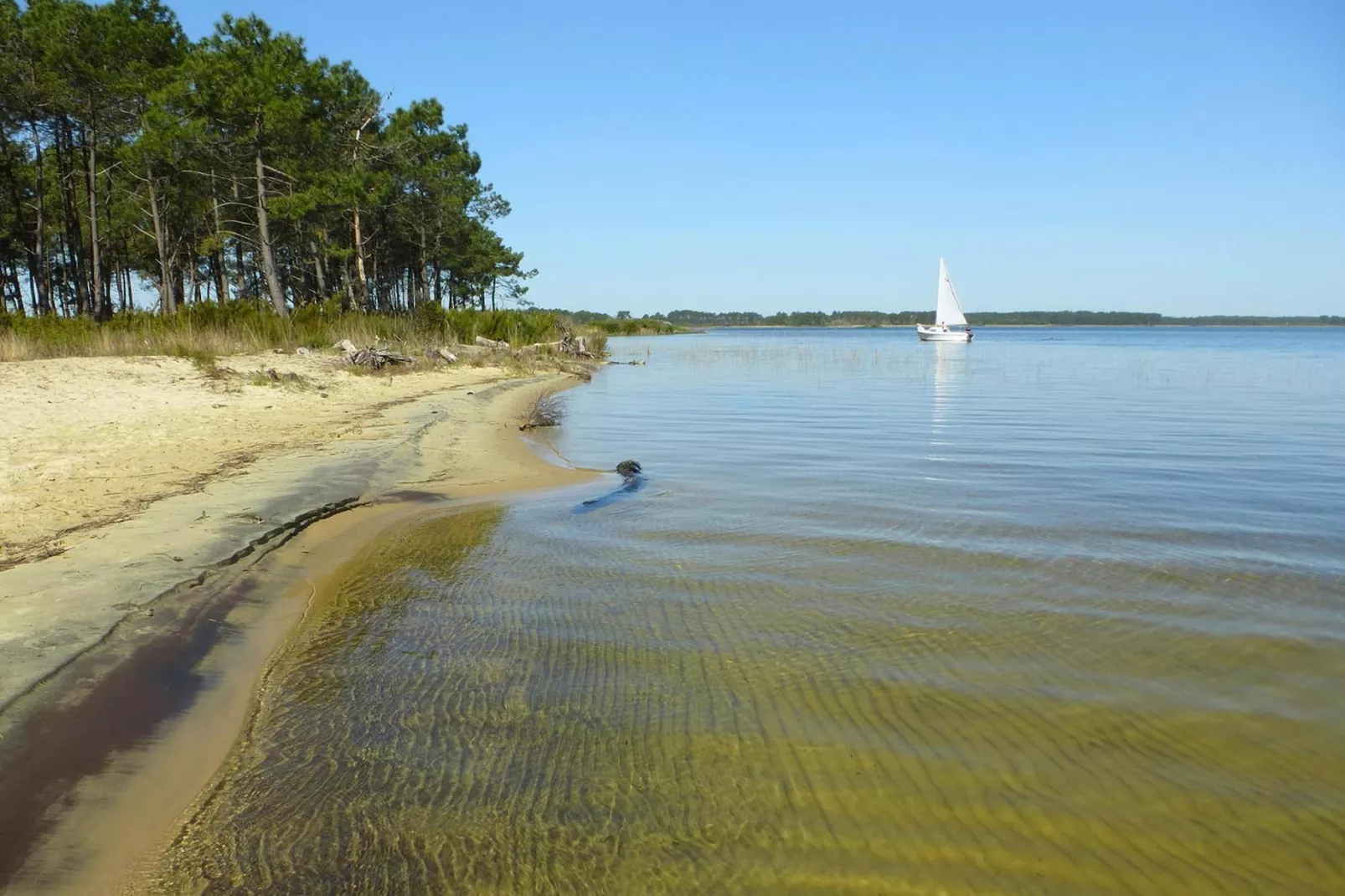 Holiday home Le Porge-Waterzicht