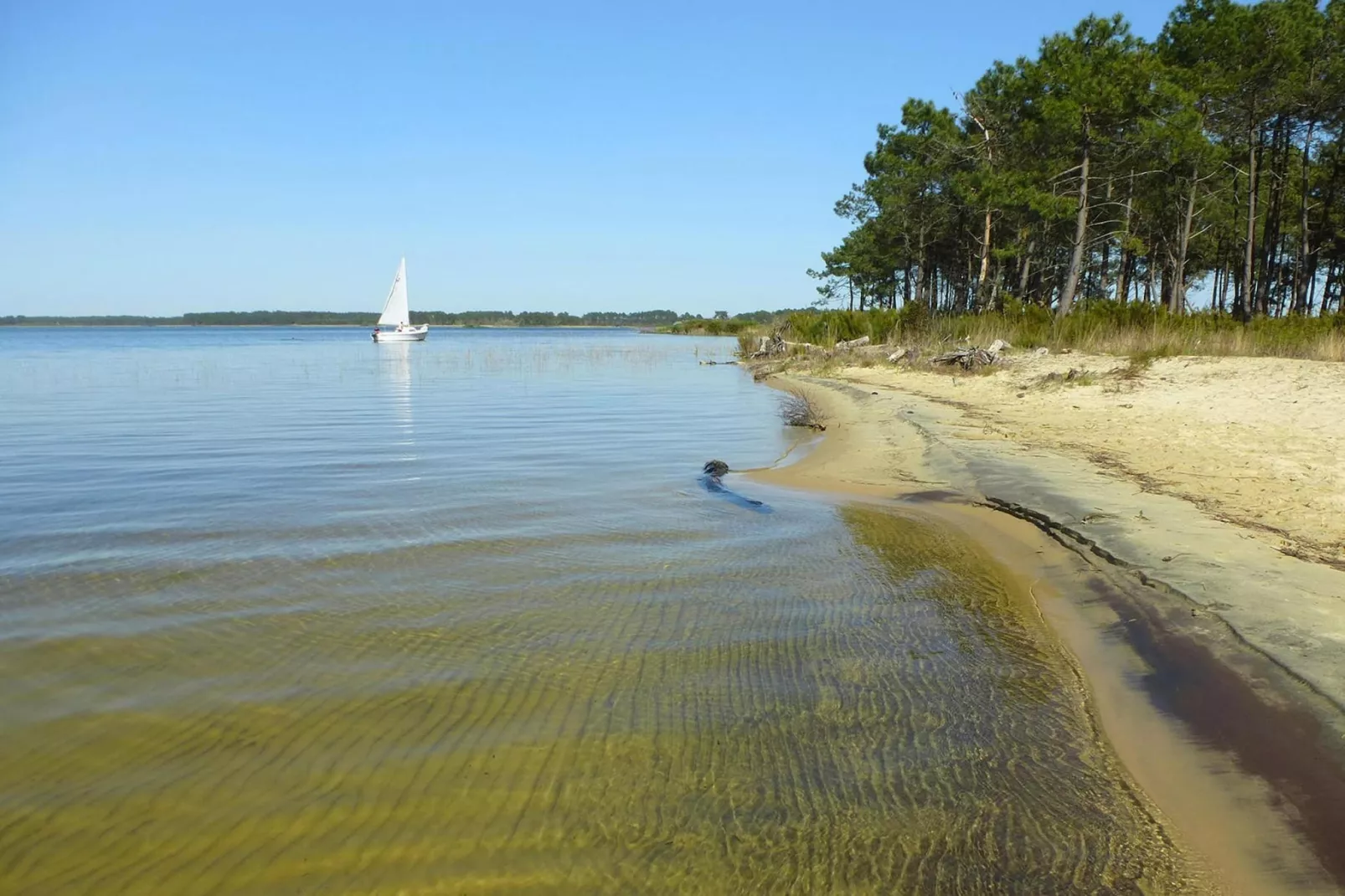 Holiday home Le Porge-Waterzicht