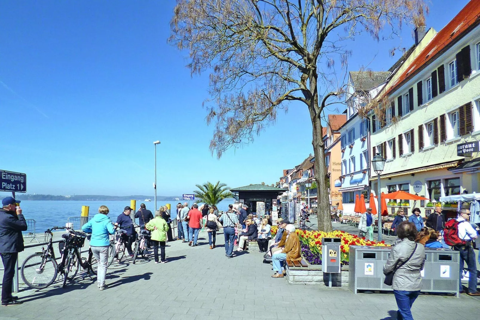 Ferienwohnung Bären 37 qm-Gebieden zomer 1km