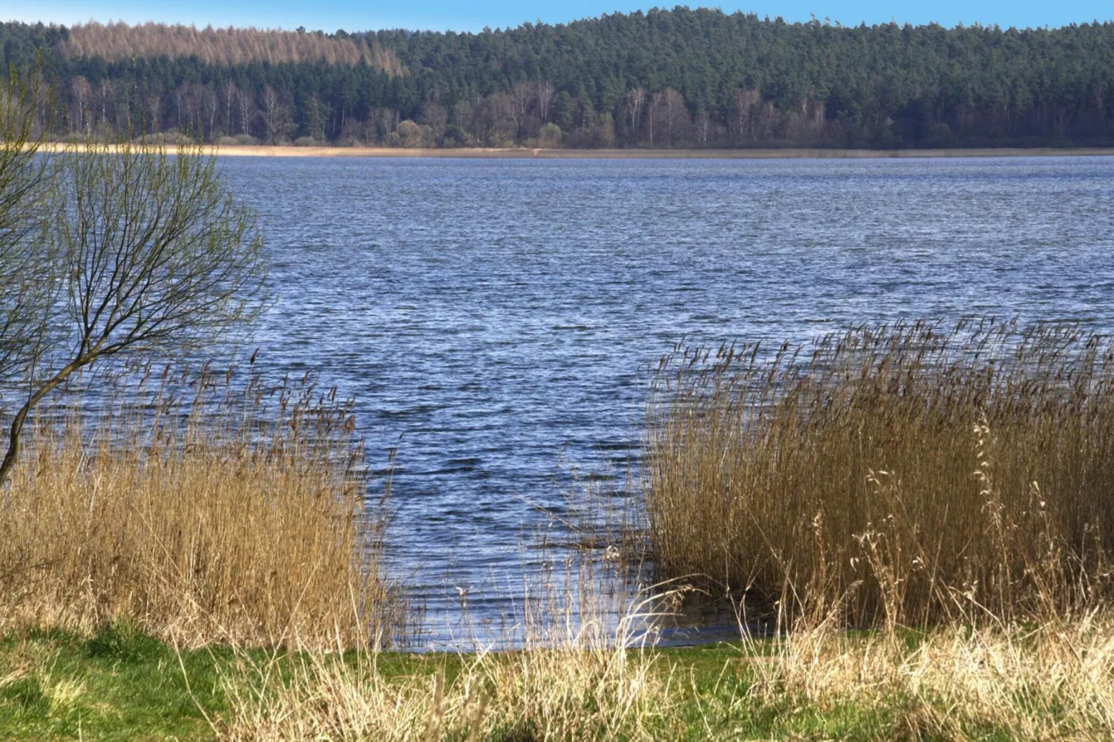 Ferienhaus An de Linn-Gebieden zomer 1km