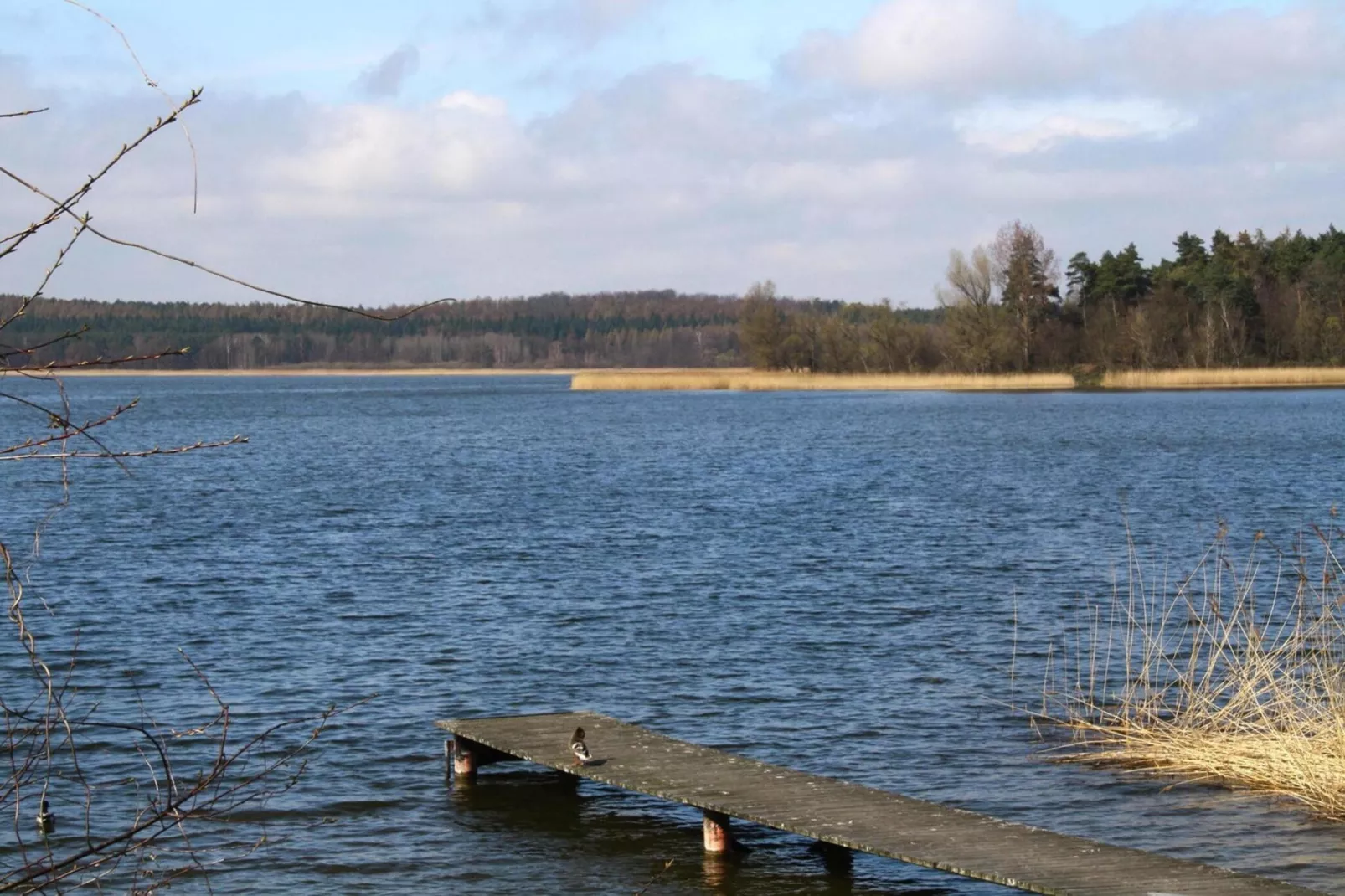 Ferienhaus An de Linn-Gebieden zomer 1km