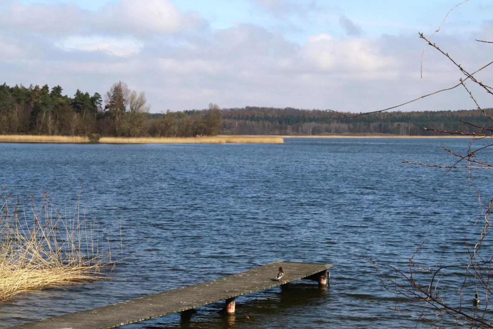 Ferienhaus An de Linn-Gebieden zomer 5km