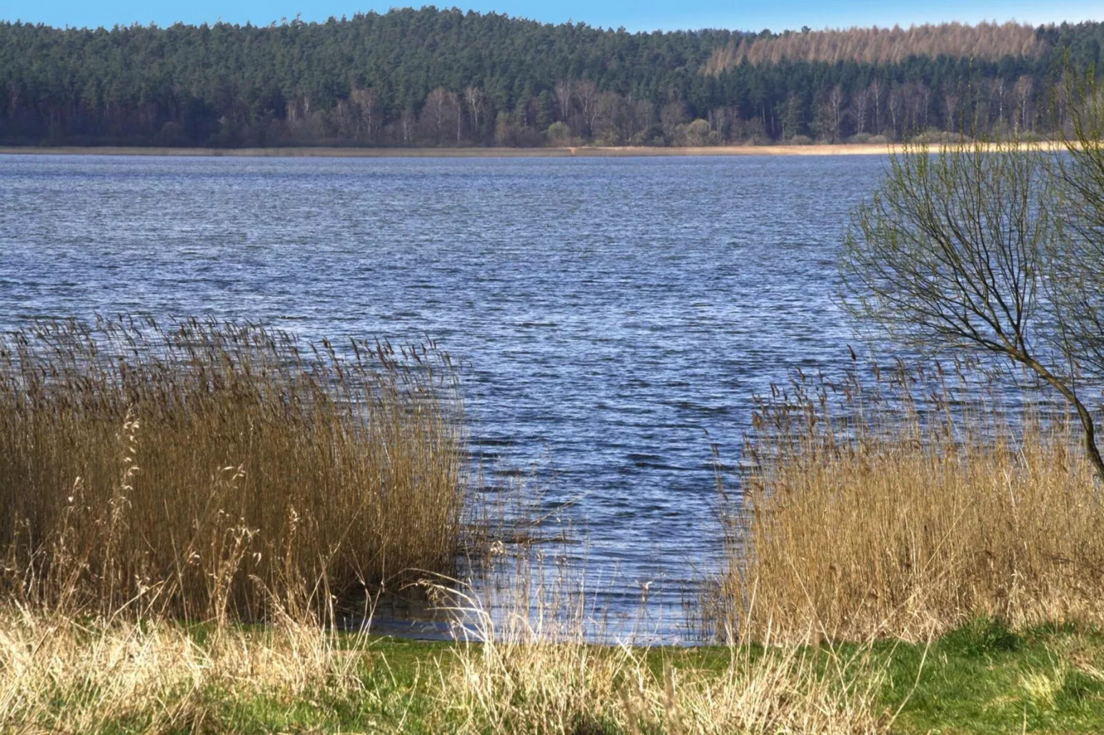 Ferienhaus An de Linn-Gebieden zomer 5km