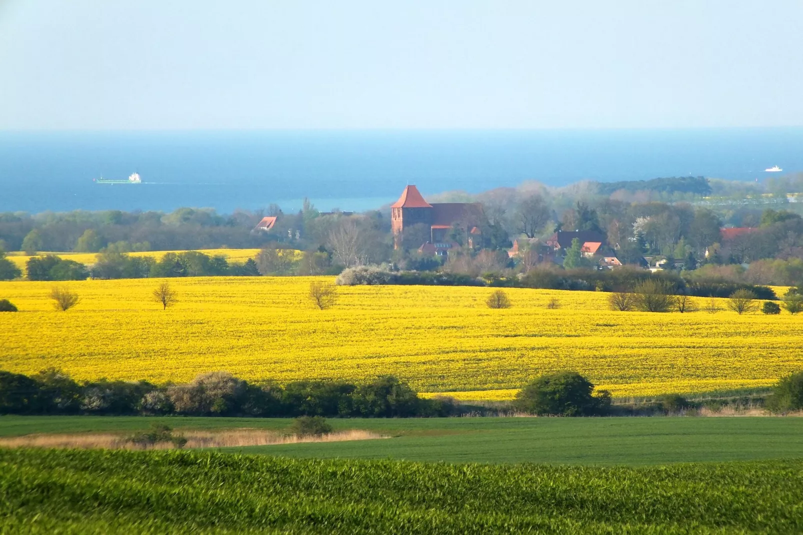 Ferienhaus de Poeler Drift Zierow 4 Personen-Gebieden zomer 20km